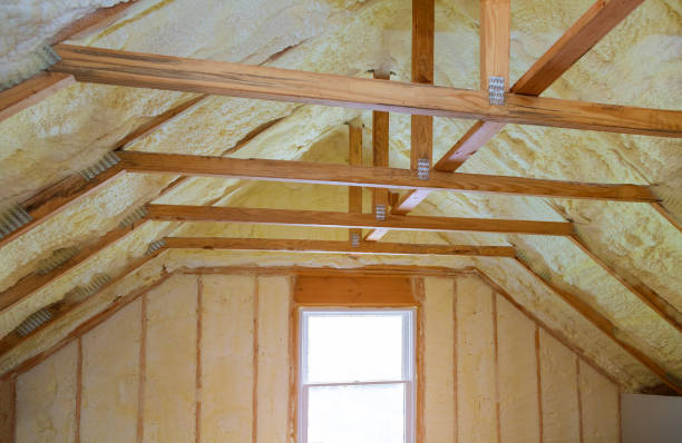 Best Insulation Maintenance and Repair in Canfield, OH