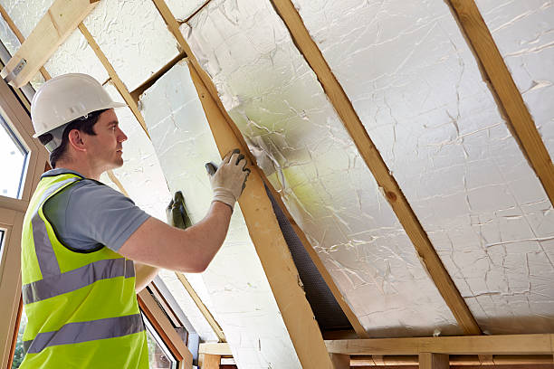 Best Insulation Installation Services in Canfield, OH
